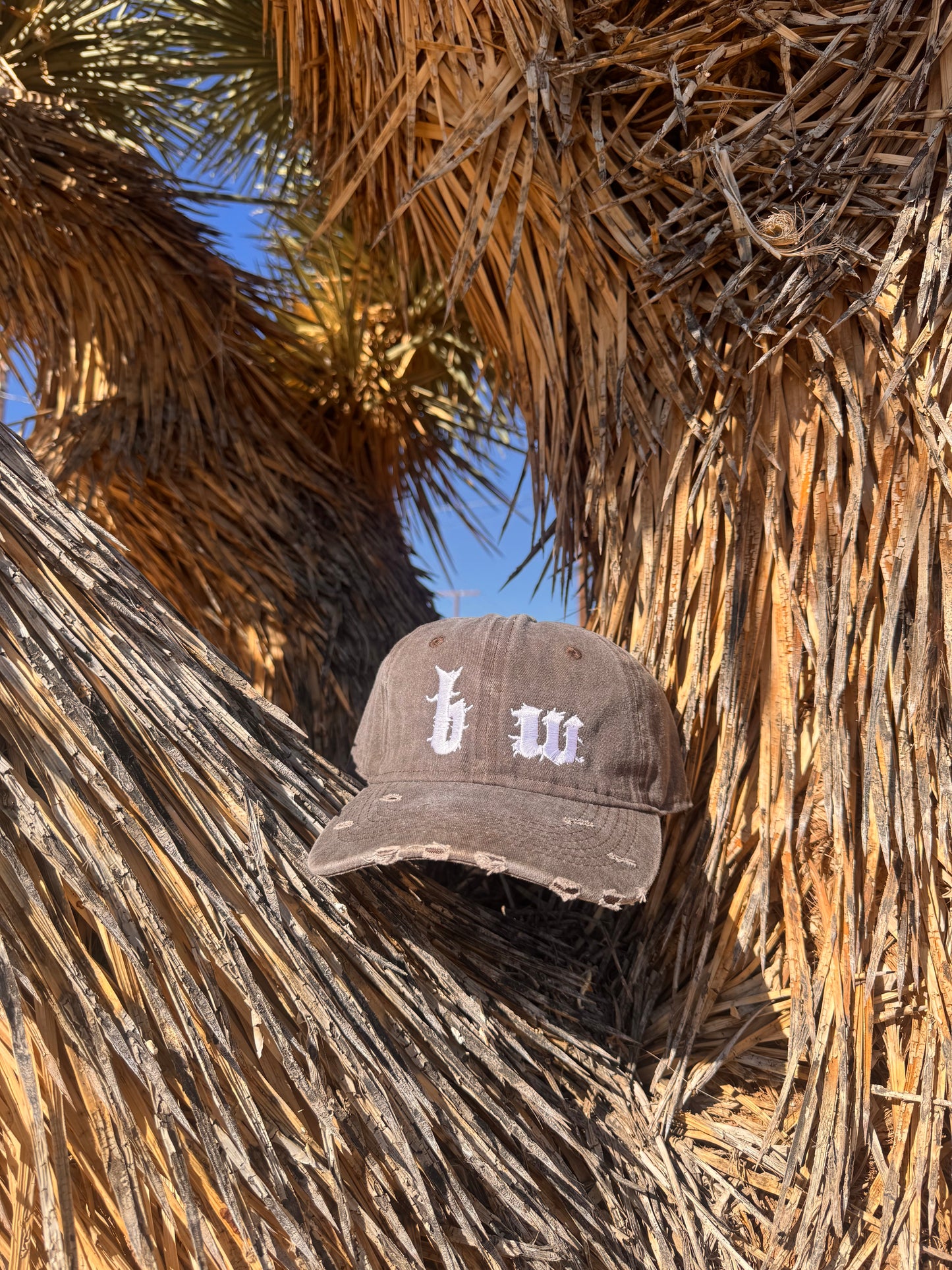 The Joshua Tree Hat